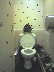 Butterfly%20Toilet%20retouched_resize.jpg